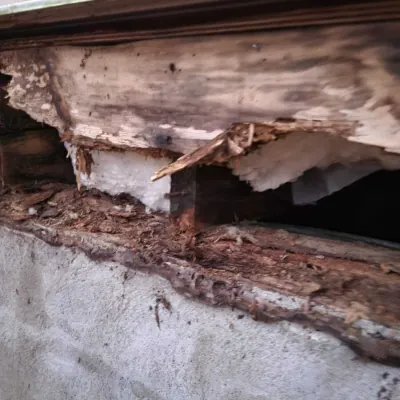 Wood Siding Replacement